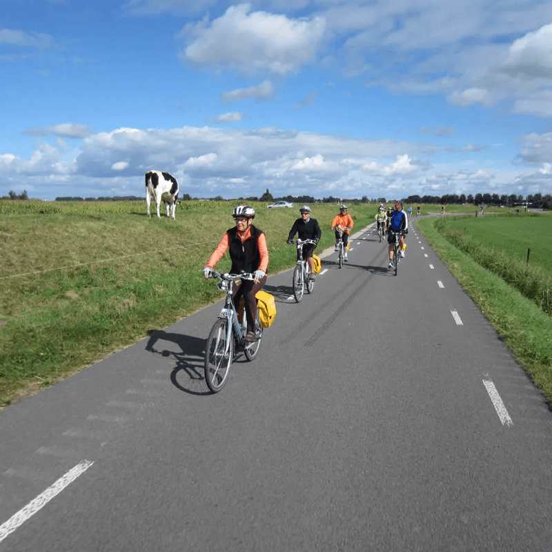 Webdesign Castricum, Project Direct, Timo van Tilburg, Snel een Webdesigner Castricum, Website laten maken Castricum, Website laten bouwen Castricum, SEO Castricum, SEA Castricum, Online Marketing Castricum, Wordpress Castricum, Zoekmachine optimalisatie Castricum