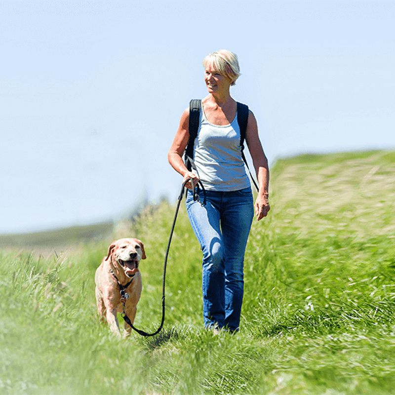 Webdesign Castricum, Project Direct, Timo van Tilburg, Snel een Webdesigner Castricum, Website laten maken Castricum, Website laten bouwen Castricum, SEO Castricum, SEA Castricum, Online Marketing Castricum, Wordpress Castricum, Zoekmachine optimalisatie Castricum